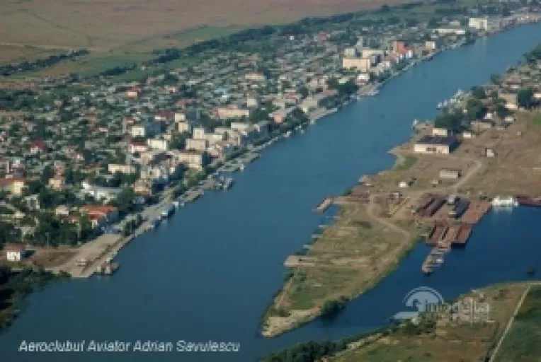 O specie a paianjenului veninos VADUVA NEAGRA a fost descoperita la Sulina si pe o insula a lacului Razim
