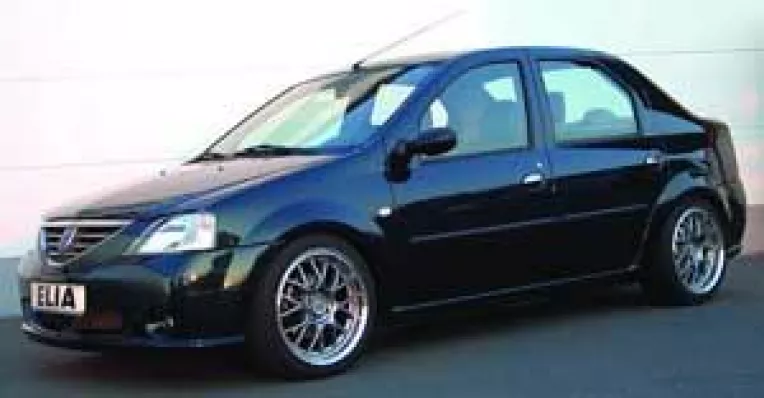 Operatie estetica minora pe Logan