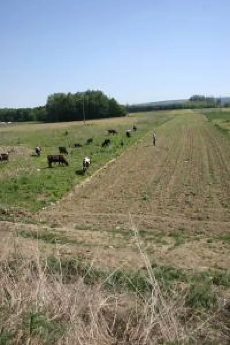 Pamantul atrage banii UE