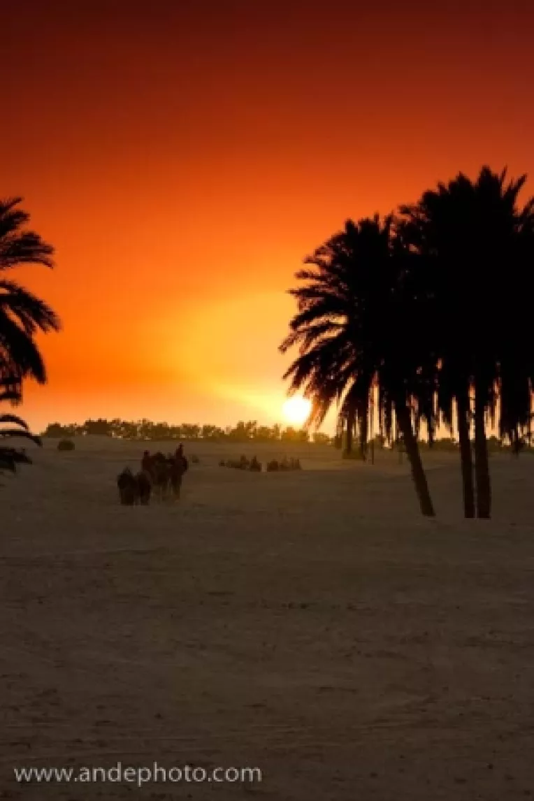 PDL in fata neantului