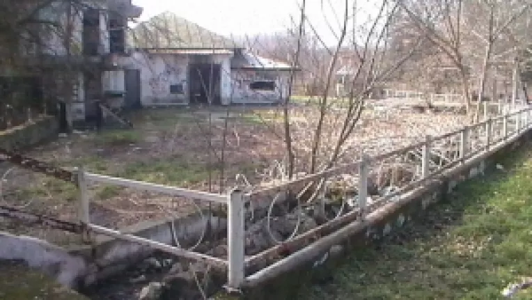 Peisaj dezolant in parcul Jirlau din Calarasi: Buruieni, caini vagabonzi, o cladire abandonata si devastata, derbedei si prostituate