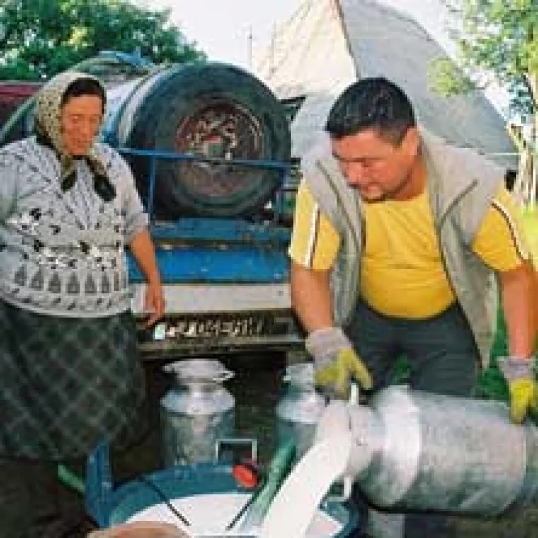 Peste 80% din cota de lapte acordata Romaniei a fost solicitata