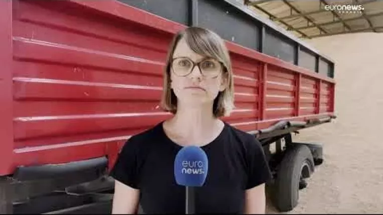 Polonia vrea prelungirea embargoului cerealelor. Ridicarea restrictiilor ar afecta fermierii