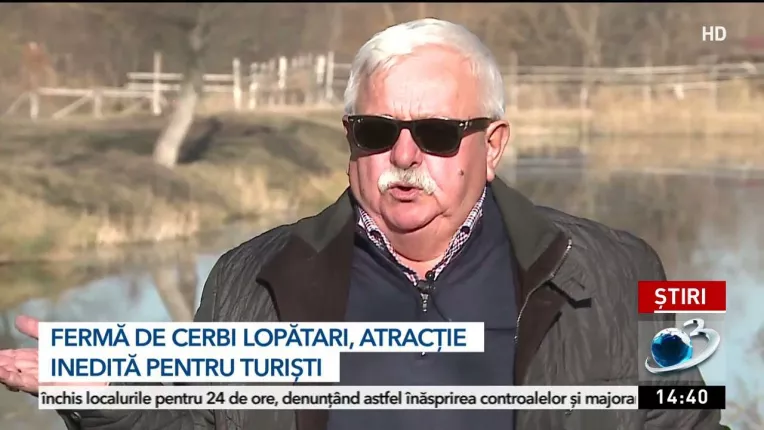 Povestea gospodarului din Mures care si-a tranformat curtea int-o ferma de cerbi lopatari