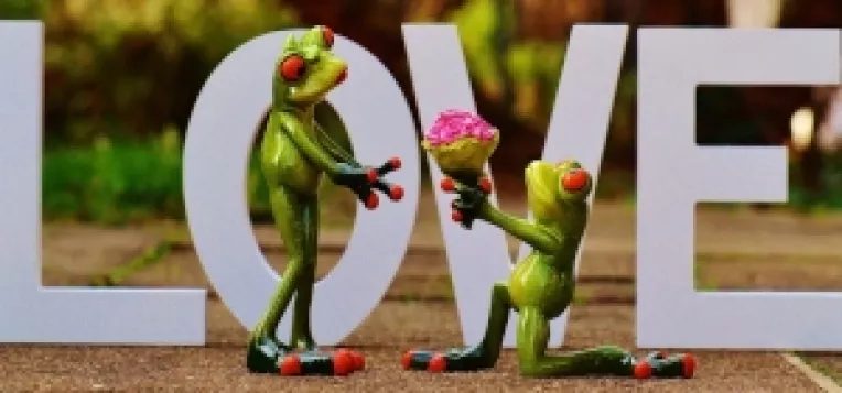 Primaria Capitalei premiaza cu sume intre 1.000  si 3.000 de lei, cuplurile care implinesc 25, 50, respectiv 75 de ani de casatorie