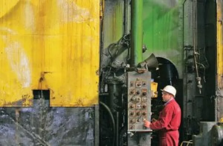 Problemele de la Combinat, discutate la Guvern