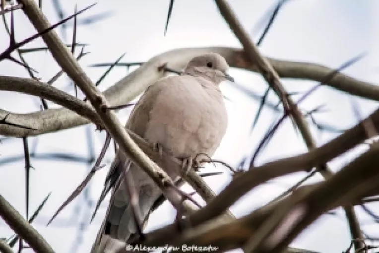 Prognoza meteo: Timpul probabil in luna februarie 2016