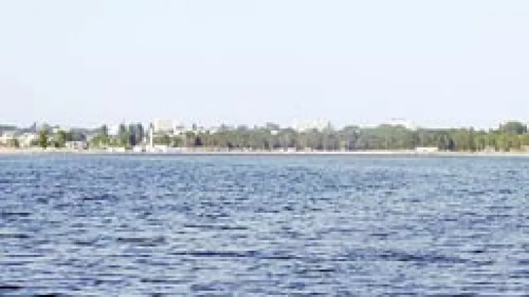 Proiect de protejare a pasarilor din lacul Techirghiol