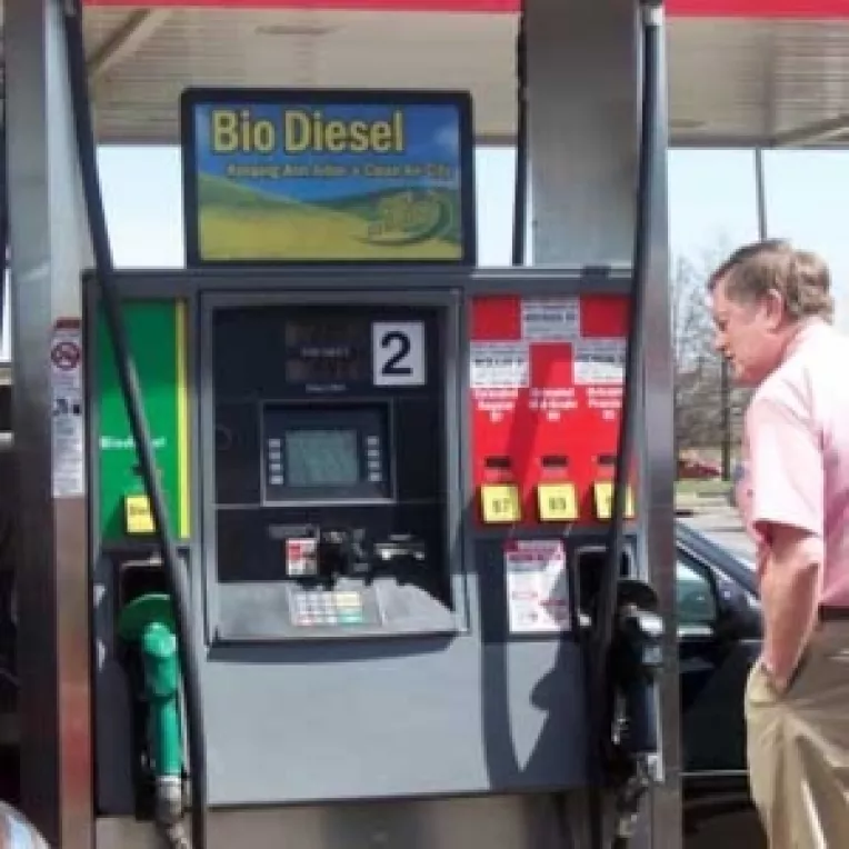 Rapita si floarea-soarelui ne ieftinesc motorina