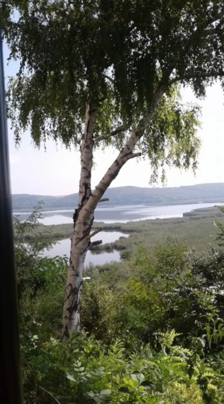 Rezervatia Naturala Srebarna, din Bulgaria