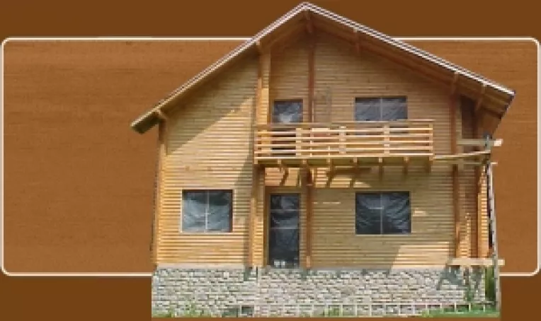 Romania detinea in 2005 aproape 3% din firmele din sectorul prelucrarii lemnului din UE