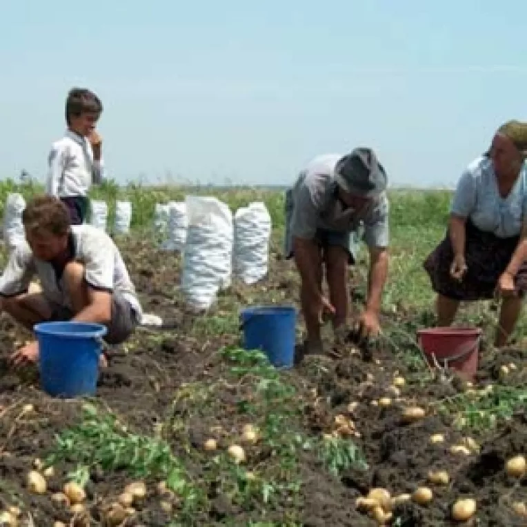 Romania este in pericol de a pierde cele trei miliarde de euro de la UE