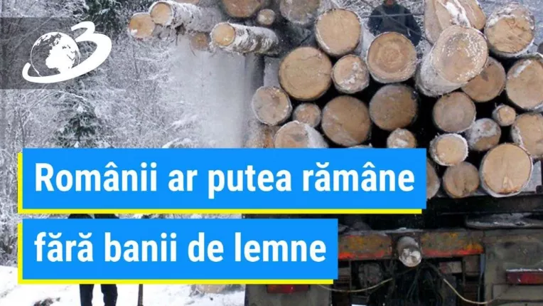 Romanii ar putea ramane fara banii de lemne, in prag de iarna