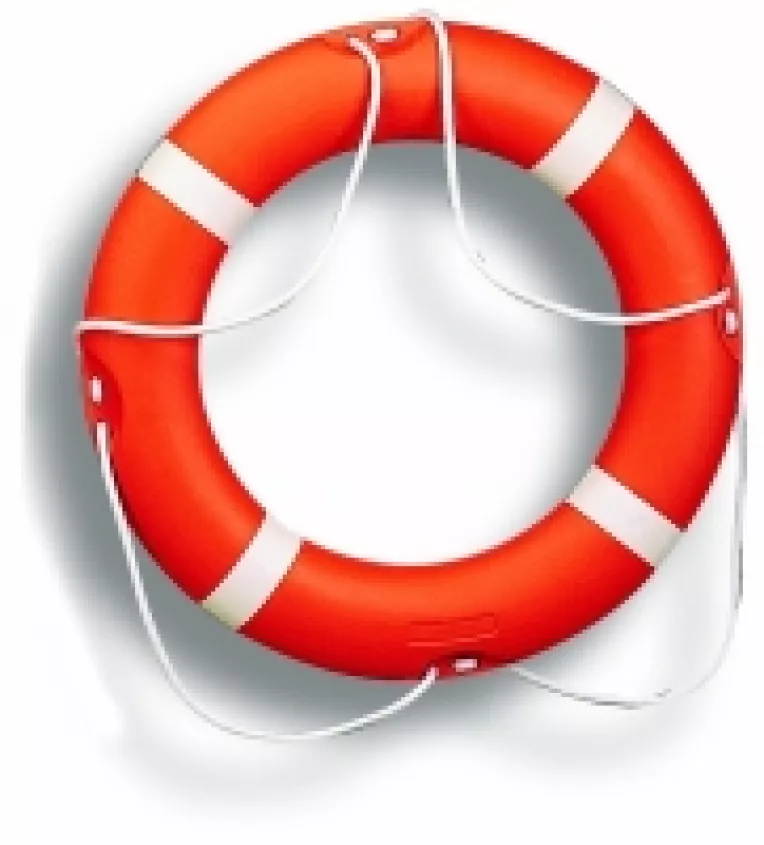 Salvarea economiei: Impozitul diferentiat pe venit si reducerea impozitului pe profit la 10%