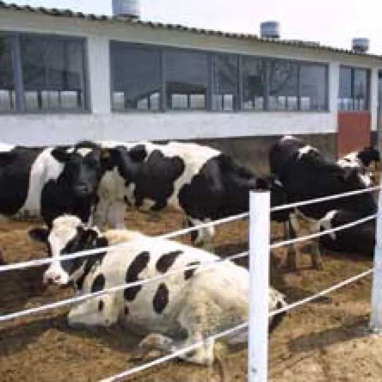 "Sanepidul" isi pune in cap si producatorii de carne