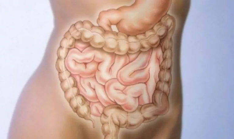 Scapa de tulburari digestive cu enzime naturale si extracte din plante