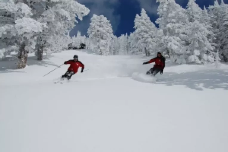 Schi-ul si snowboarding-ul, sporturi perfecte pentru slabit si dezvoltarea musculaturii 
