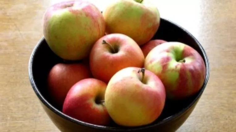 Si exporturile de fructe s-au injumatatit