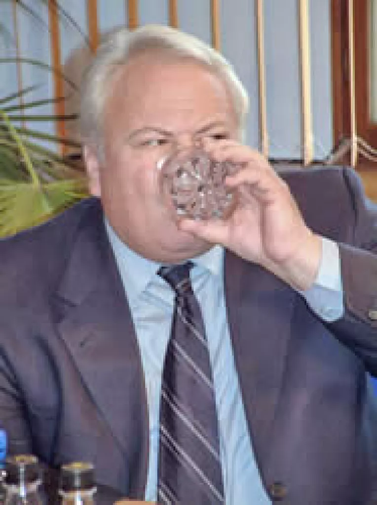 Stanca, frauda cu TVA