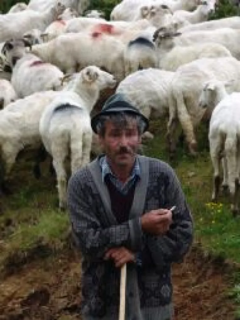 Taierea mieilor de Paste, negociata cu reprezentantii UE