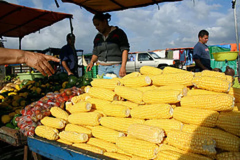 Tariceanu vrea ca agricultorii sa fie sprijiniti de CEC