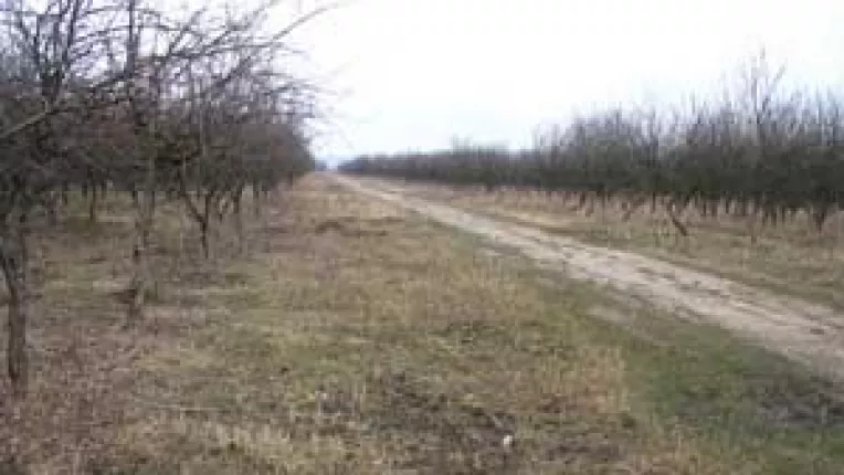 Terenul de la statiuni pune capat retrocedarilor. Pamant la tot poporul