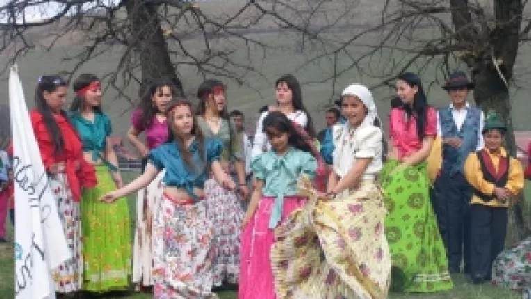 Tigan, nu rom: Senatorii PDL il contrazic pe fata pe Basescu 