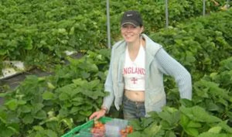 Tot mai multi europeni vor angajati romani