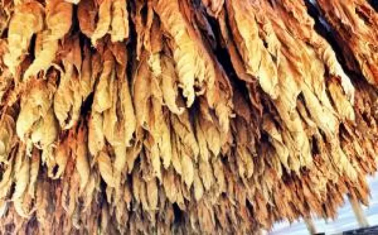 Tutunul se rareste... dar "fumul" se scumpeste