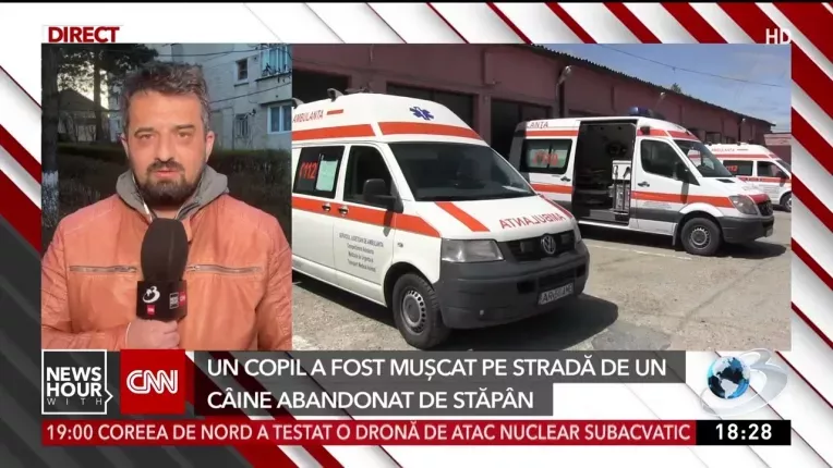 Un copil a ajuns la spital dupa ce a fost muscat pe strada de un caine abandonat de stapan, in Suceava