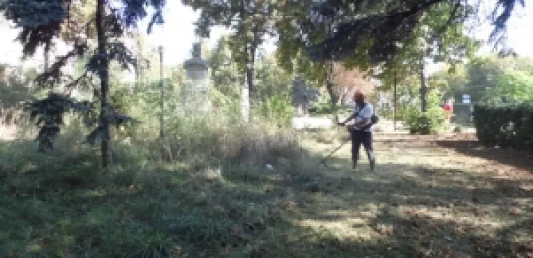 Zilele Municipiului Calarasi incep cu taierea (anuala) a buruienilor din curtea Prefecturii